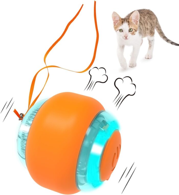 Cat Toys