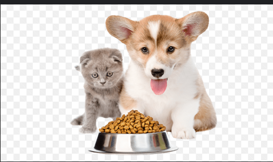 Pet Food By Pets99