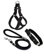 Senapati Dog Combo Pack of Harness,