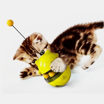 Cat Toys