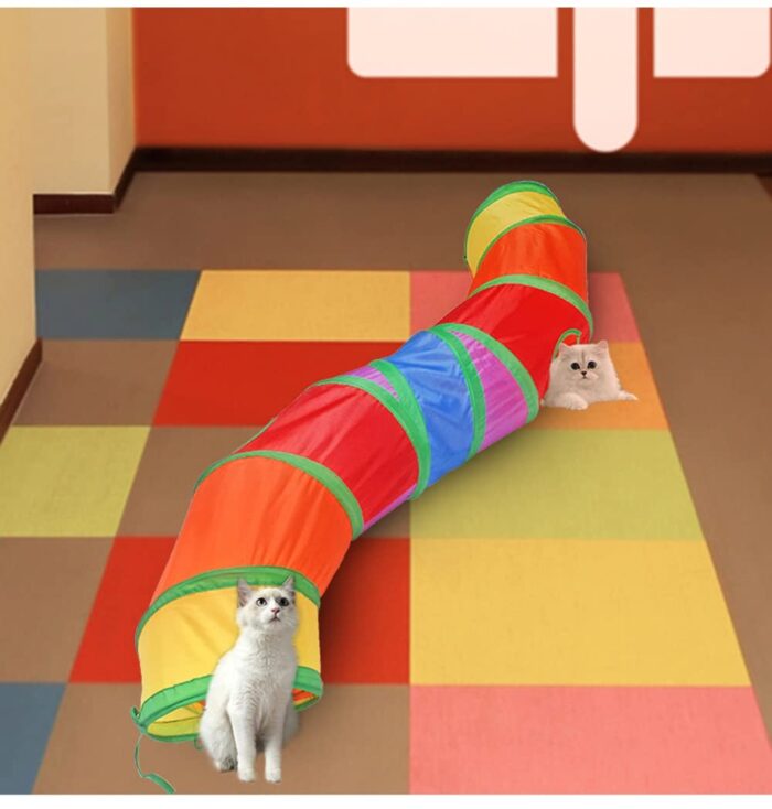 Cat Toys