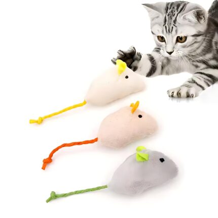 Cat Toys