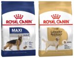 Royal canin labrador