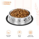 Amazon basics Stainless Steel Printed Pet Bowl