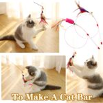 Cat Toys