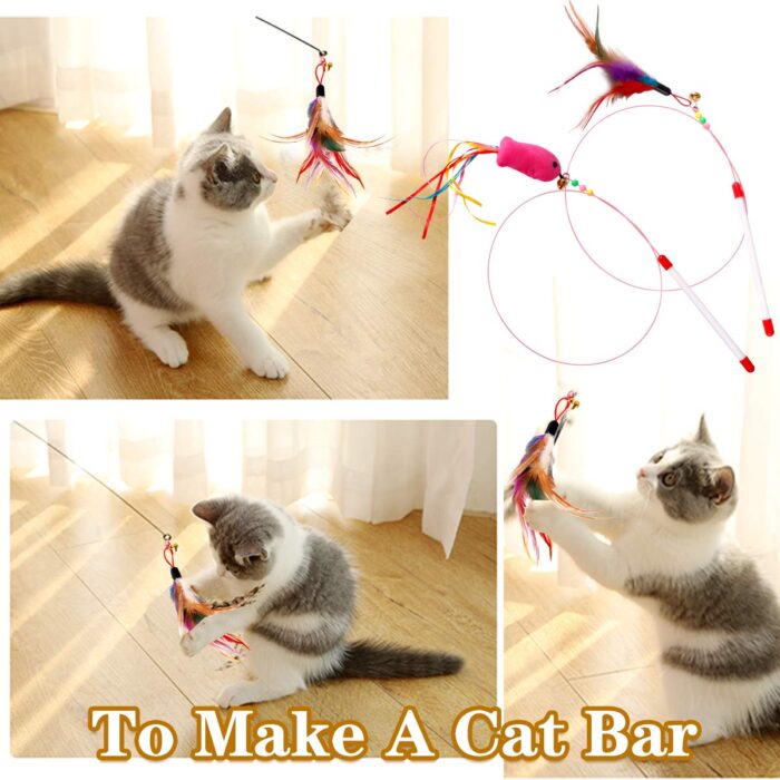 Cat Toys