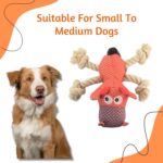 Dog Toys