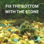 Aquairum toys