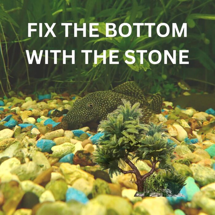Aquairum toys