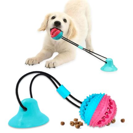 Dog Toys